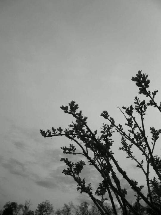 Photography titled "Macon In B&W: Tower…" by Joshua Clowers, Original Artwork