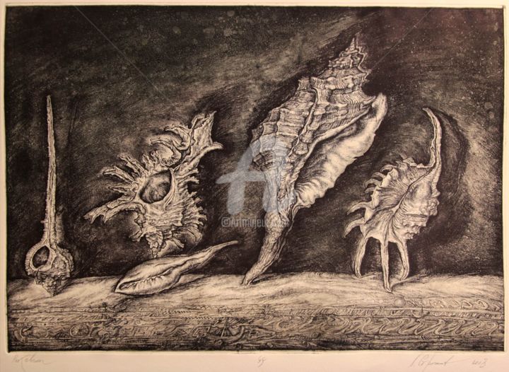 Incisioni, stampe intitolato "Shells" da Leonid Stroganov, Opera d'arte originale, Altro