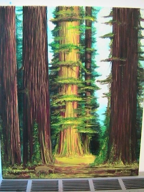 Painting titled "Trees of Mystery" by Stuart C Foster, Original Artwork, Oil