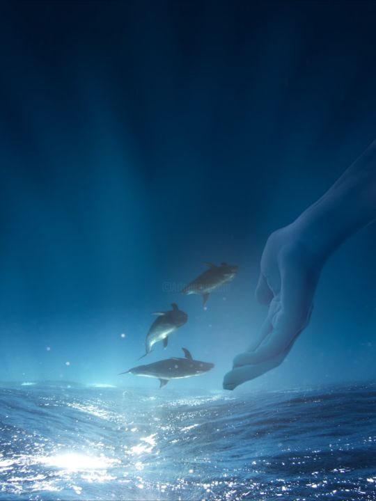 Digital Arts titled "Dolphin Dream" by Sir Gently, Original Artwork, Digital Painting