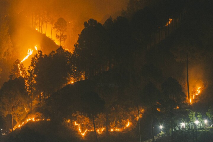 Photographie intitulée "FOREST FIRE IN PAUR…" par Sudhanshu Jayaswal, Œuvre d'art originale, Photographie numérique