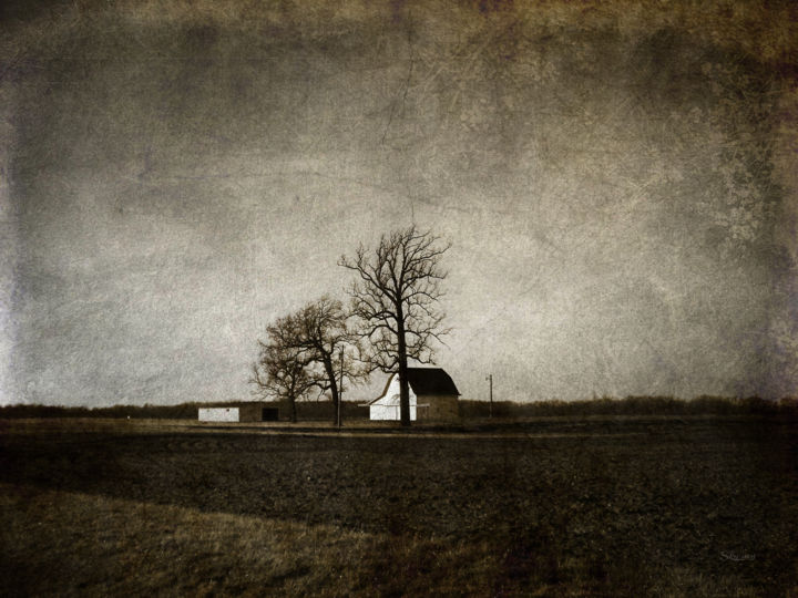 Photography titled "Barn with Trees" by Skylucy, Original Artwork