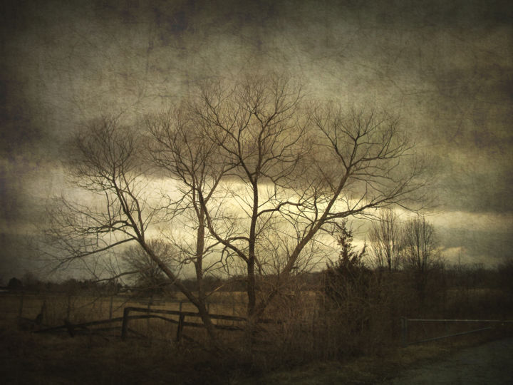 Photography titled "A Wyeth Landscape" by Skylucy, Original Artwork
