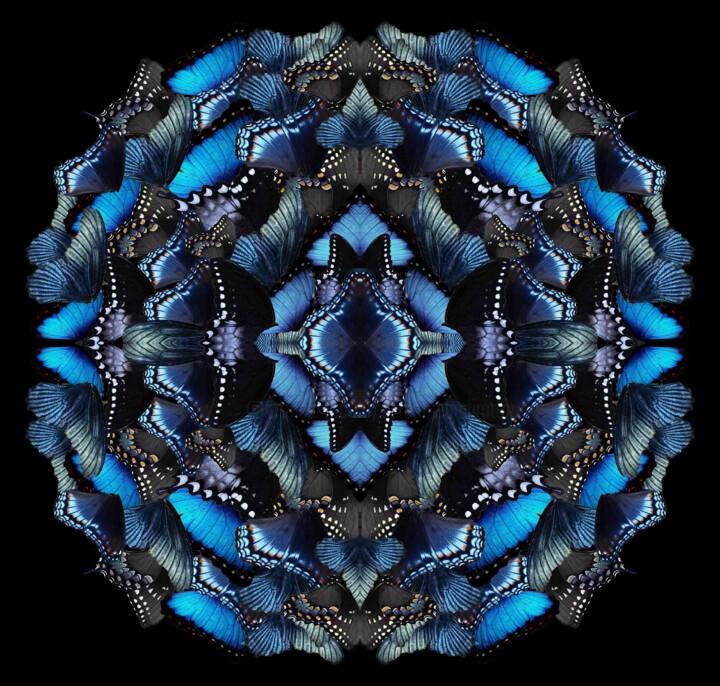 Цифровое искусство под названием "Midnight morphosis" - Sumit Ratta, Подлинное произведение искусства, Цифровая живопись