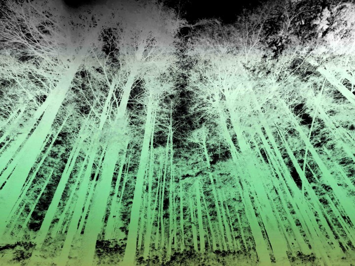 Photography titled "Forest Aurora" by Sumit Ratta, Original Artwork, Manipulated Photography