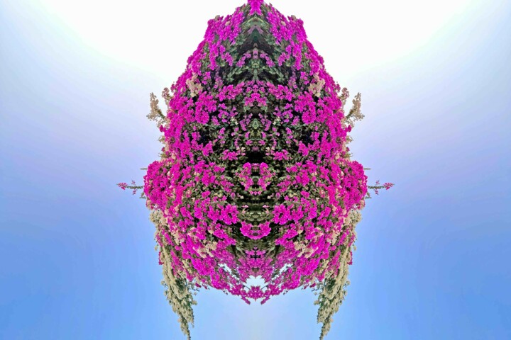 Fotografia intitulada "Bougainvillea bug" por Sumit Ratta, Obras de arte originais, Fotografia Manipulada