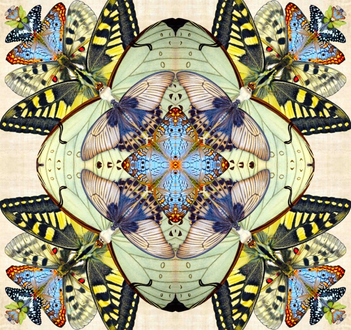Digital Arts titled "Mothscope" by Sumit Ratta, Original Artwork, Photo Montage