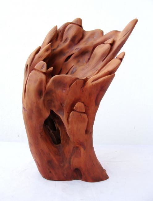 Escultura titulada "Wind Blow" por Suresh Pant, Obra de arte original, Madera