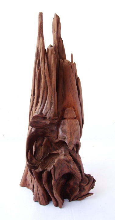 雕塑 标题为“Mountain's spirit” 由Suresh Pant, 原创艺术品, 木