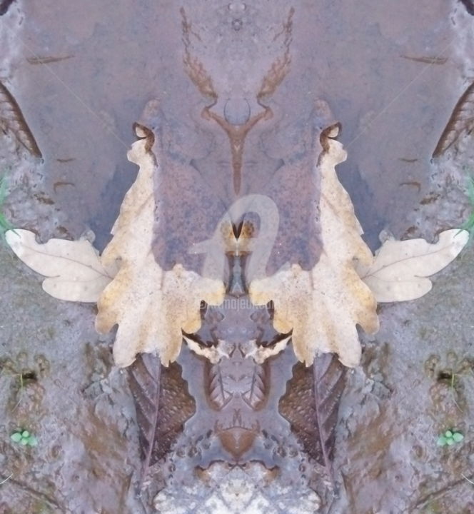 Fotografia intitulada "couple-de-colombes.…" por Surréalisme & Couleurs, Obras de arte originais