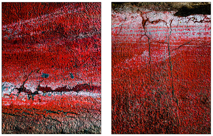 Photographie intitulée "Seeing Red #02" par Susan Bowen, Œuvre d'art originale, Photographie numérique