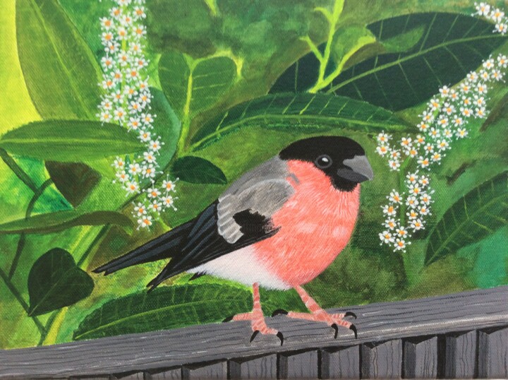 Malarstwo zatytułowany „Bullfinch and Laure…” autorstwa Susan J Green, Oryginalna praca, Akryl Zamontowany na Drewniana rama…