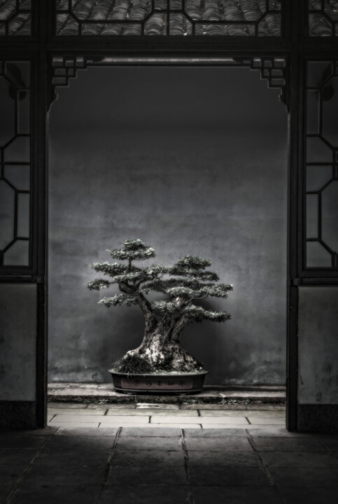 Fotografia intitulada "Midnight in Kyoto" por Susan Maxwell Schmidt, Obras de arte originais, Fotografia digital
