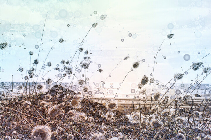 Arte digital titulada "Sea Grass" por Susan Maxwell Schmidt, Obra de arte original, Pintura Digital