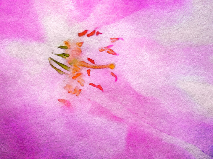 Цифровое искусство под названием "Cherry Blossom Fest…" - Susan Maxwell Schmidt, Подлинное произведение искусства, Цифровая…