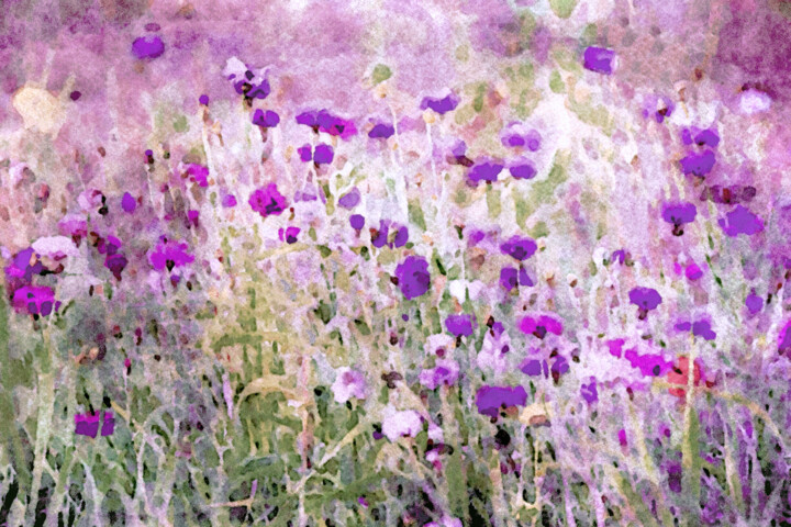 Arts numériques intitulée "Prairie Wildflowers" par Susan Maxwell Schmidt, Œuvre d'art originale, Peinture numérique