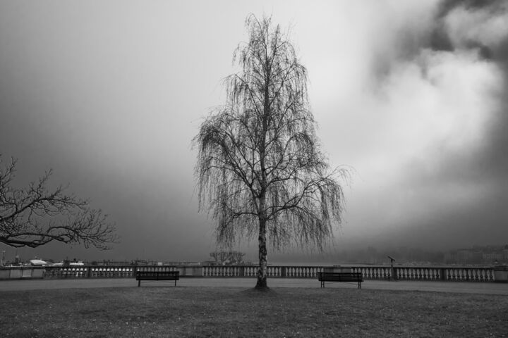 Фотография под названием "Never Feel Alone ..." - Susanne Haldemann, Подлинное произведение искусства, Цифровая фотография