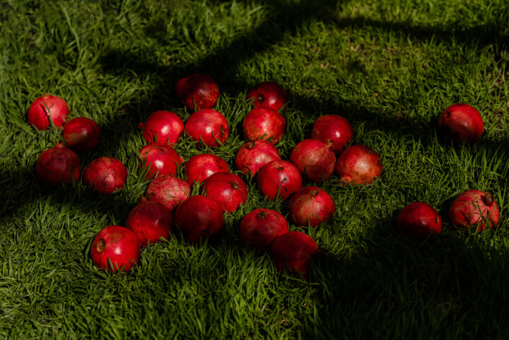 Fotografie getiteld "Pomegranate on grass" door Suvorova Xenia, Origineel Kunstwerk, Digitale fotografie