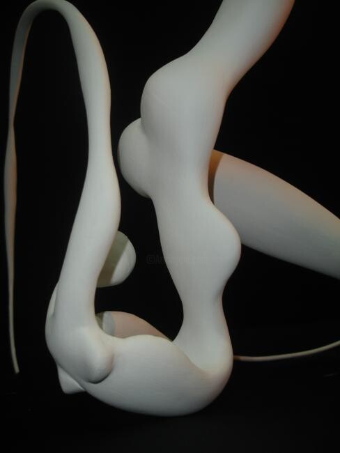 Skulptur mit dem Titel "jjj.jpg" von Suzi Carvalho, Original-Kunstwerk