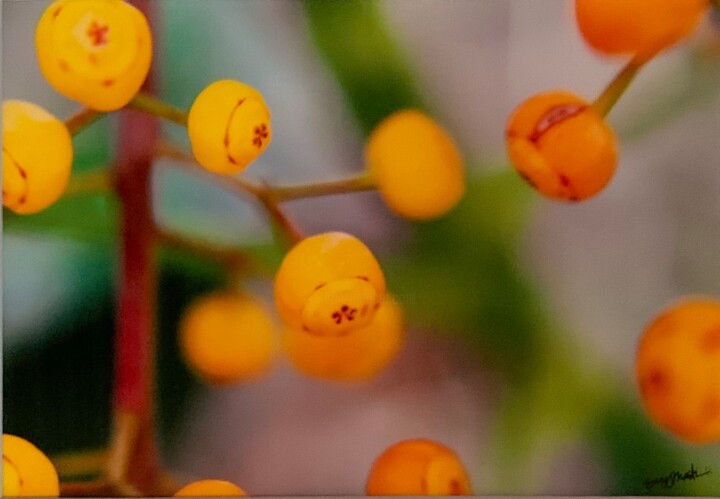 Photographie intitulée "Flower Stamp Berries" par Suzy Martin, Œuvre d'art originale, Photographie numérique