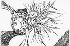 Drawing titled "Mindseye" by Sanet Van Wyk, Original Artwork