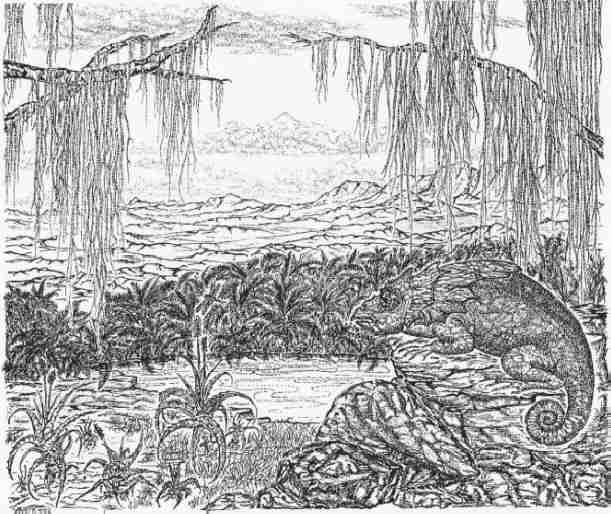 Drawing titled "SV The small hunt" by Sanet Van Wyk, Original Artwork