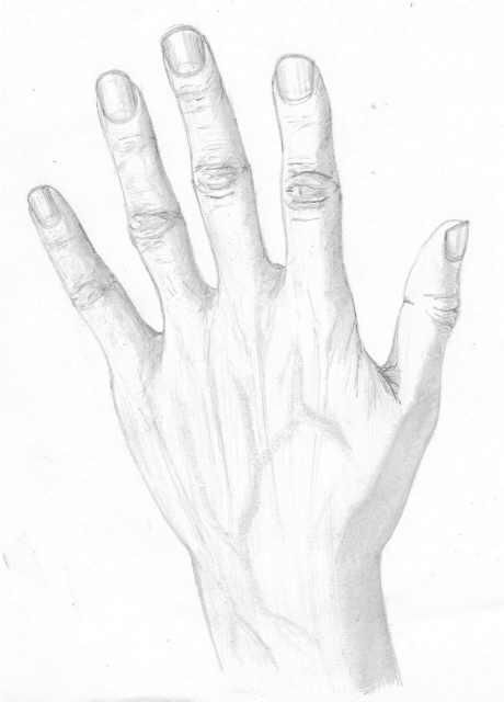 Drawing titled "Left hand" by Sanet Van Wyk, Original Artwork