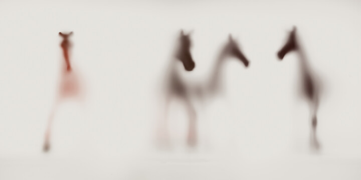 「WILD LENS - HORSES I」というタイトルの写真撮影 Sven Pfrommerによって, オリジナルのアートワーク, アナログプリント アルミニウムにマウント