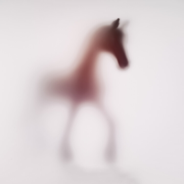 Fotografie mit dem Titel "WILD LENS - HORSE X…" von Sven Pfrommer, Original-Kunstwerk, Analogdruck Auf Aluminium montiert