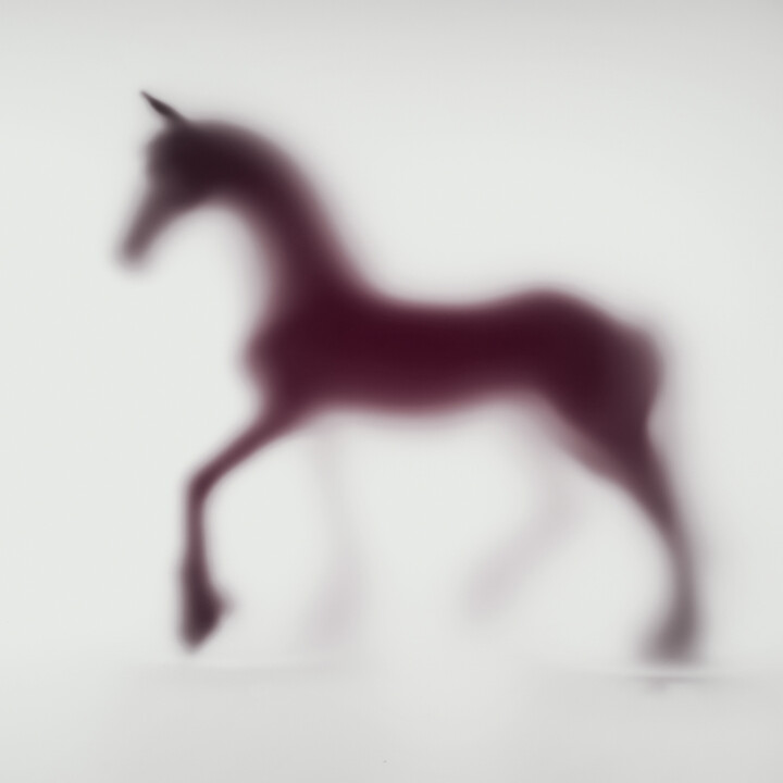 Photography titled "WILD LENS - HORSE X…" by Sven Pfrommer, Original Artwork, Analog Print Mounted on Aluminium