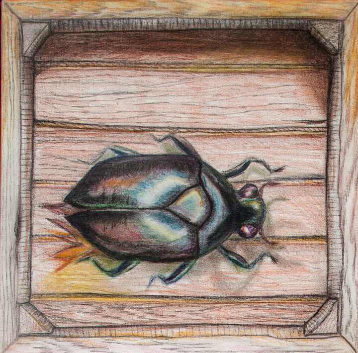 Painting titled "Scarab. Скарабей" by Svetlana Aleynikova, Original Artwork, Conté Mounted on Wood Stretcher frame