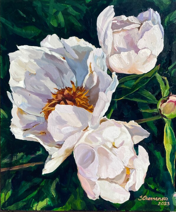 Картина под названием "Белые пионы в саду" - Светлана Черненко, Подлинное произведение искусства, Масло