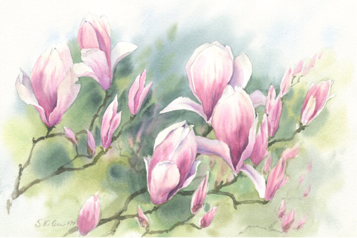 Schilderij getiteld "Magnolienblüten" door Svetlana Kilian, Origineel Kunstwerk, Aquarel