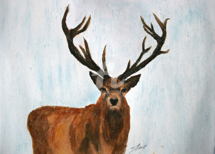 Painting titled "Deer" by Svetlana Samovarova (SA.LANA), Original Artwork, Watercolor