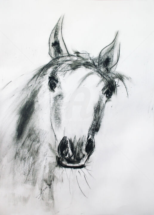 Painting titled "HORSE... QUICK PORT…" by Svetlana Samovarova (SA.LANA), Original Artwork, Ink