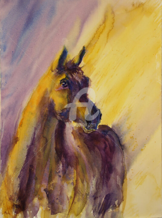 Peinture intitulée "HORSE VI" par Svetlana Samovarova (SA.LANA), Œuvre d'art originale, Aquarelle