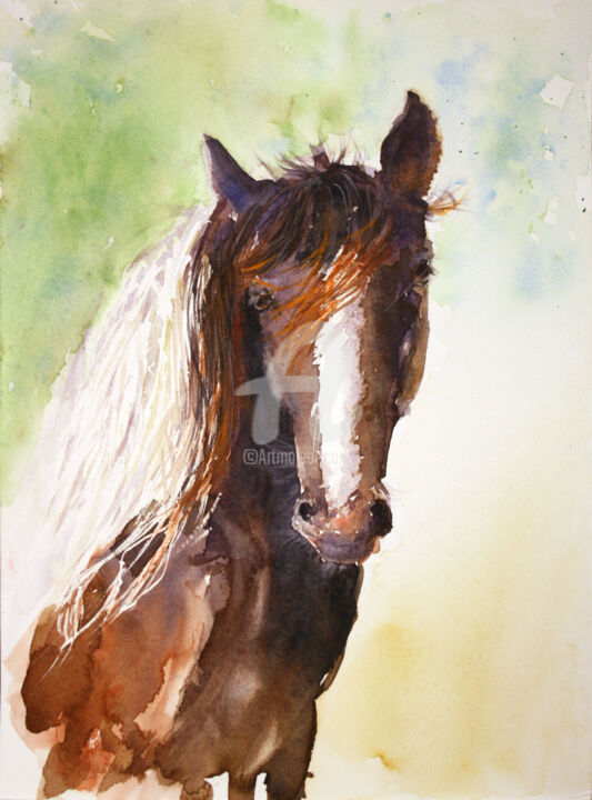제목이 "HORSE V""인 미술작품 Svetlana Samovarova (SA.LANA)로, 원작, 수채화