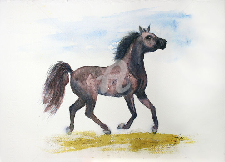 Painting titled "HORSE II'" by Svetlana Samovarova (SA.LANA), Original Artwork, Watercolor