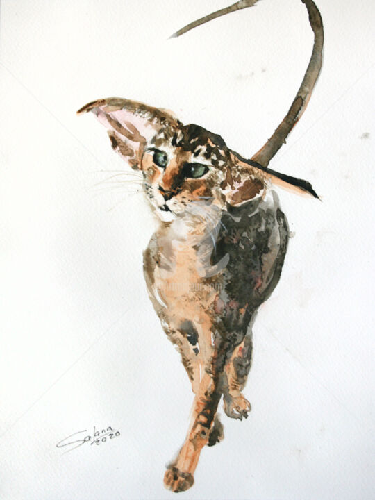 Peinture intitulée "CAT I - PET PORTRAIT" par Svetlana Samovarova (SA.LANA), Œuvre d'art originale, Aquarelle