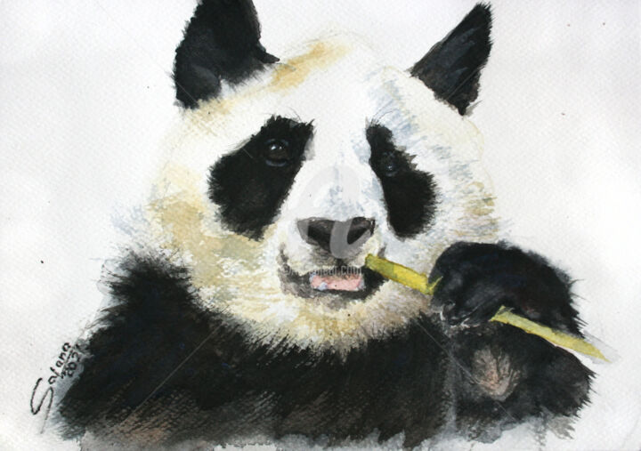 Painting titled "Panda III" by Svetlana Samovarova (SA.LANA), Original Artwork, Watercolor