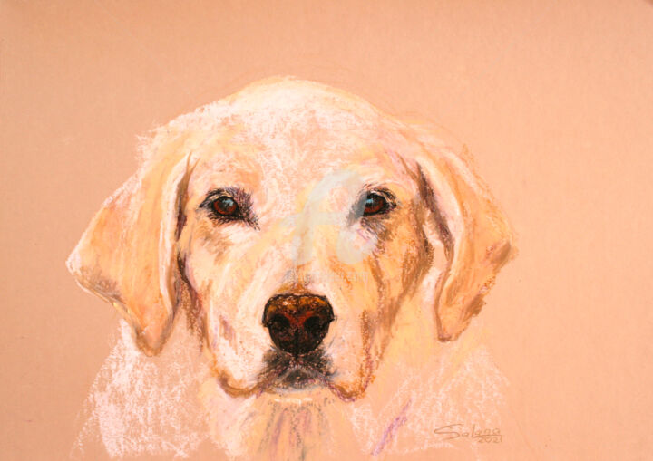 Drawing titled "DOG III... LABRADOR…" by Svetlana Samovarova (SA.LANA), Original Artwork, Oil