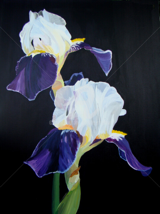 「Iris on a black bac…」というタイトルの絵画 Svetlana Saratovaによって, オリジナルのアートワーク, アクリル