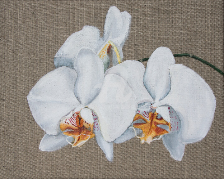 Painting titled "White orchid" by Svetlana Saratova, Original Artwork, Acrylic