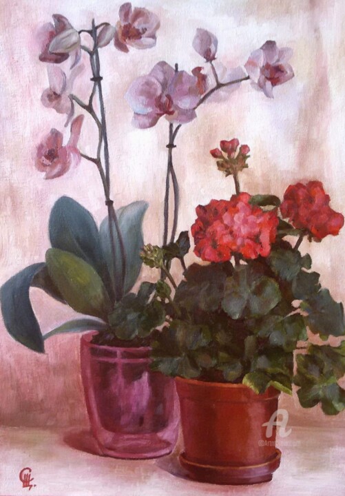 Painting titled "Pink morning, origi…" by Svetlana Shcherilya, Original Artwork, Oil Mounted on Cardboard