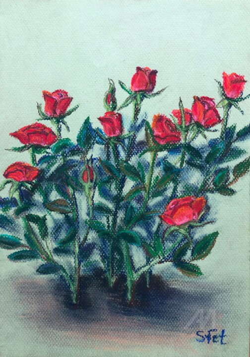 Rose Bush Drawing By Svet Schiel Gallery Artmajeur rose bush drawing by svet schiel