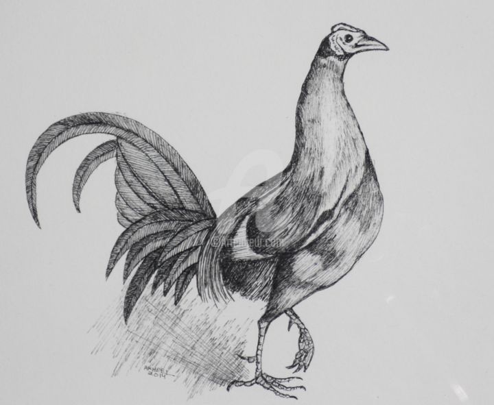 Drawing titled "Hen (pen and ink)" by Syed Akheel, Original Artwork, Ink