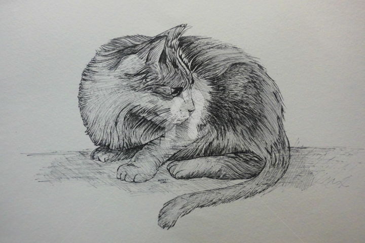 Dessin intitulée "CAT LIFE SIZE (pen…" par Syed Akheel, Œuvre d'art originale, Autre