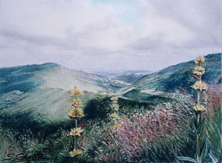 Peinture intitulée "Petite vue du Cantal" par Sylvie Geneste, Œuvre d'art originale, Pastel