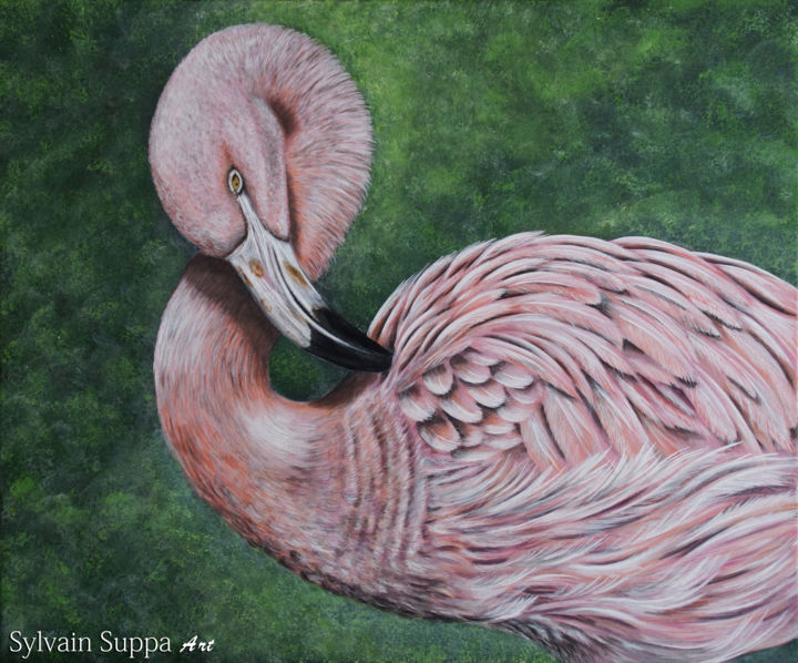Painting titled "Flamant Rose" by Sylvain Suppa, Original Artwork, Acrylic