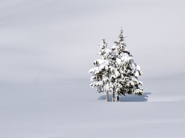 Fotografia intitulada "Seul dans la neige" por Sylvestre Bonnet, Obras de arte originais, Fotografia digital